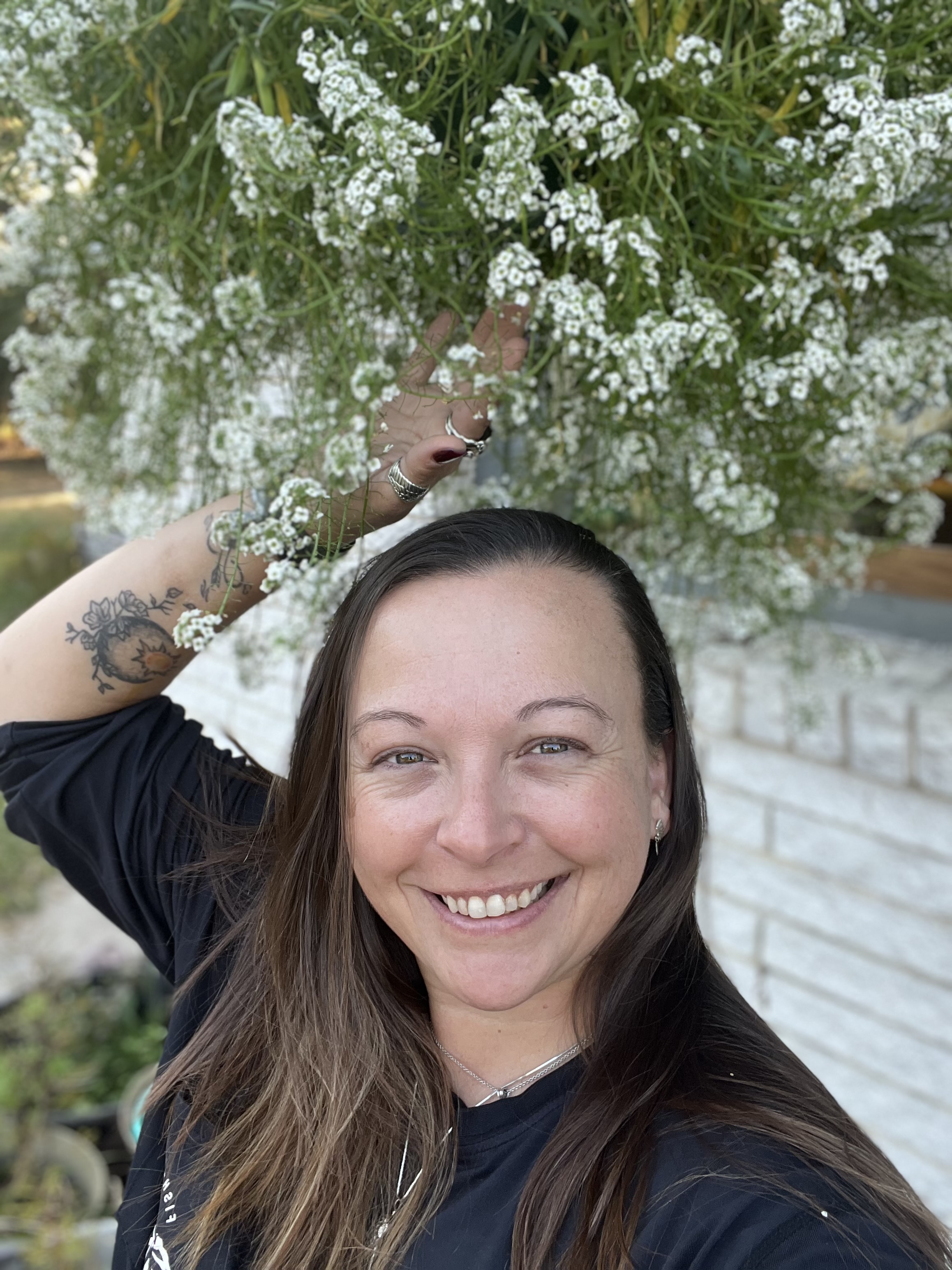 Alyssum flowers